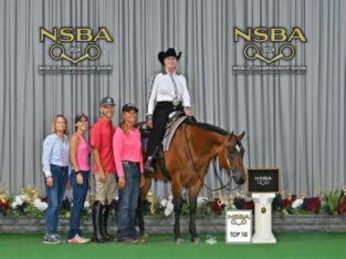 Novice Friendly Western All-Around Mare