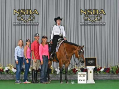 Novice Friendly Western All-Around Mare
