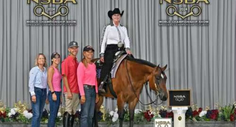 Novice Friendly Western All-Around Mare