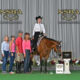 Novice Friendly Western All-Around Mare
