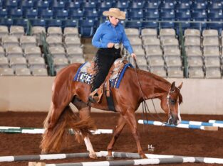 Reserve Congress Champion All-Around Deluxe