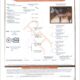 AQHA/APHA/PtHA/NSBA Heart Stoppin Mare