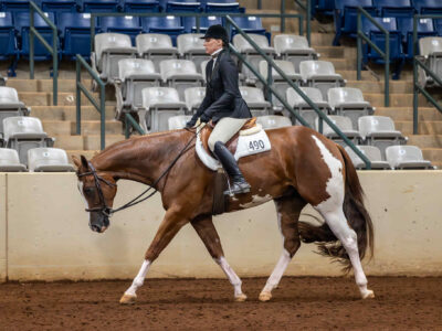 AQHA/APHA/PtHA 3YO All-Around Prospect