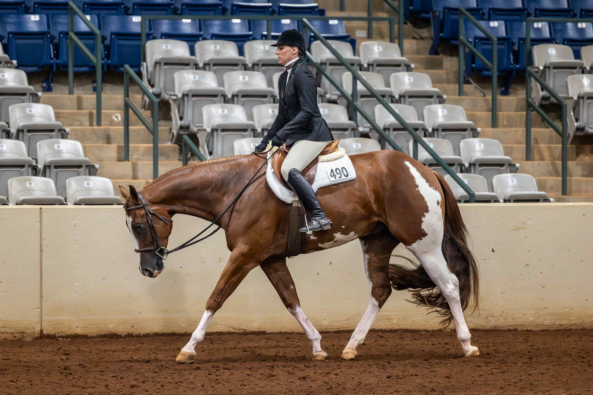 AQHA/APHA/PtHA 3YO All-Around Prospect