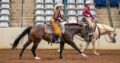 AQHA/APHA/PtHA/NSBA Heart Stoppin Mare