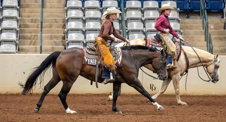 AQHA/APHA/PtHA/NSBA Heart Stoppin Mare
