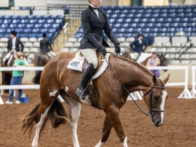 AQHA/APHA/PtHA 3YO All-Around Prospect
