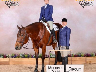 Elite All-Around Gelding