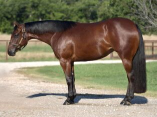3YO Machine Made 3YO Mare