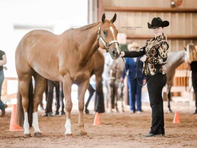 Watch Me Kiss – All-Around Gelding