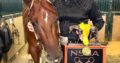 Top 5 Congress Junior Trail – Slow Southern Drawl
