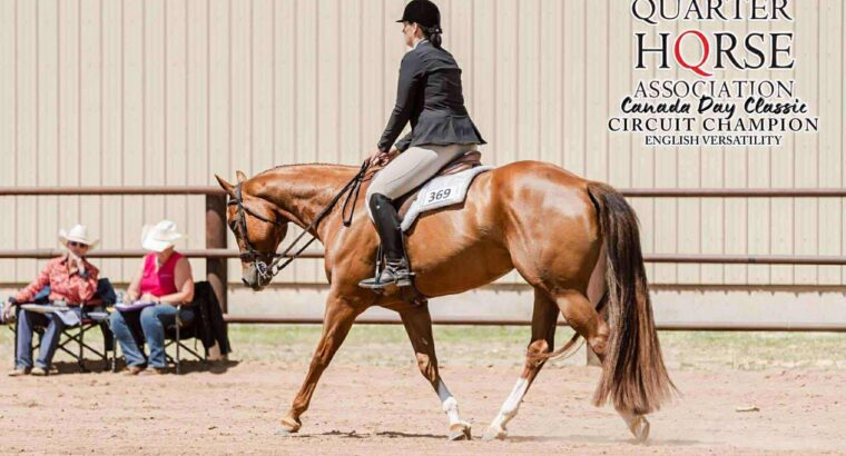 Watch Me Kiss – All-Around Gelding