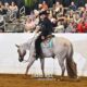 Gorgeous Red Roan All-Around Prospect