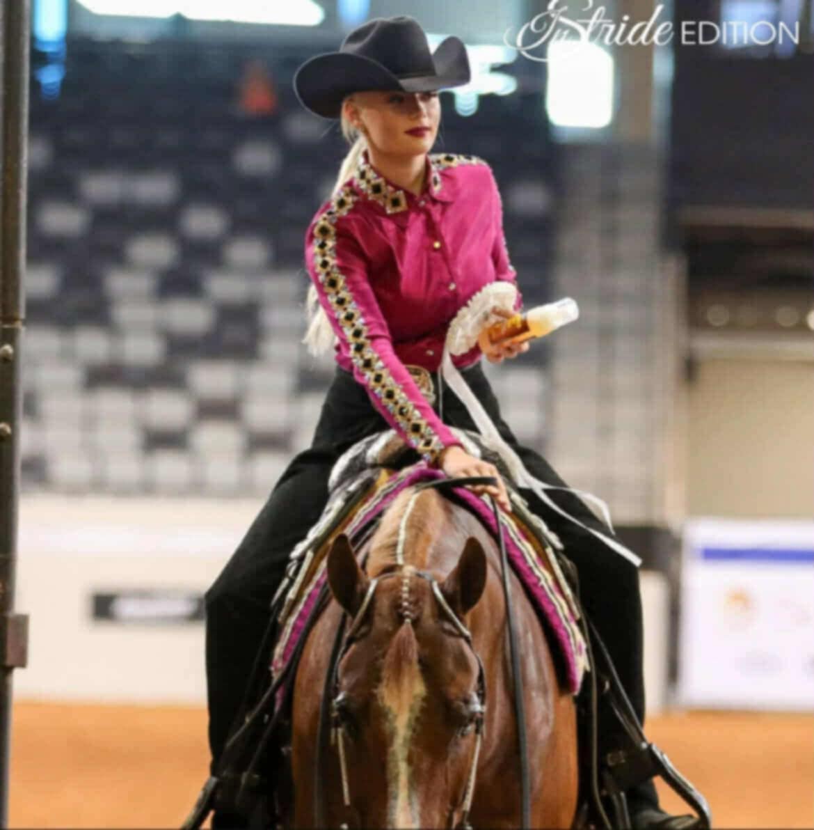 High End DEPENDABLE All Around gelding