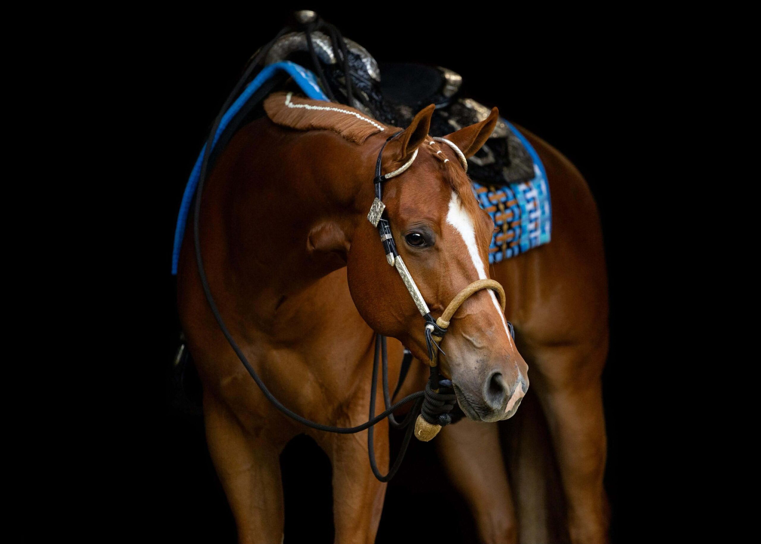 High End Its A Southern Thing All-Around Prospect