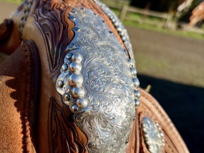 Beautiful Bobs western show saddle