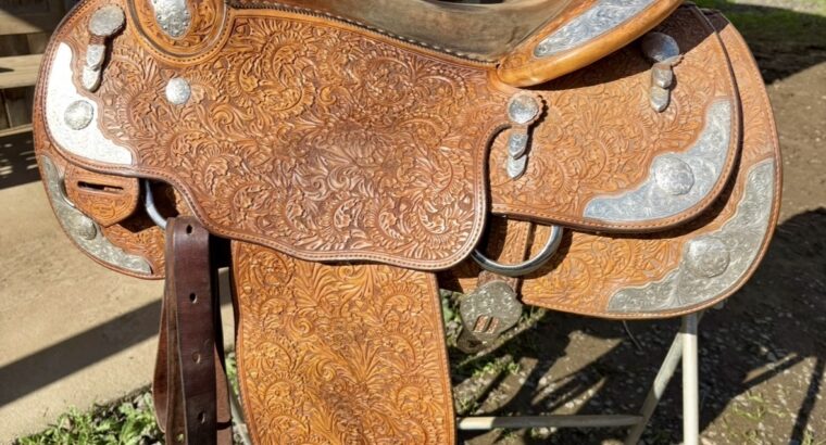 Blue Ribbon custom show saddle