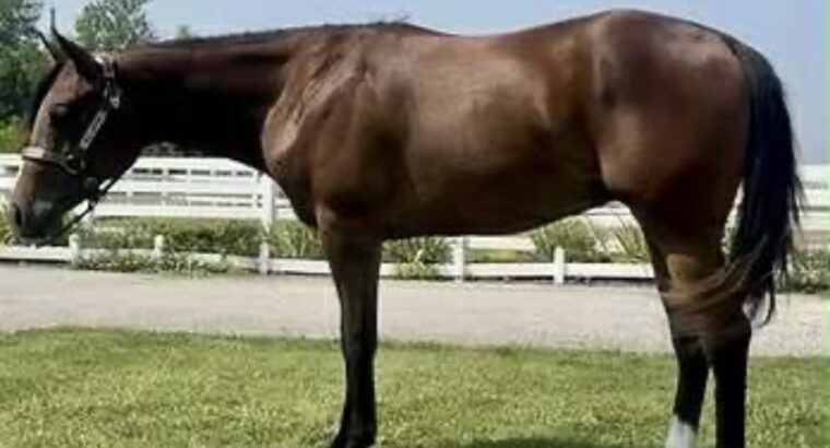 Nice Heartstoppin Yearling