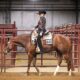 VS Code Blue All-Around Deluxe Gelding