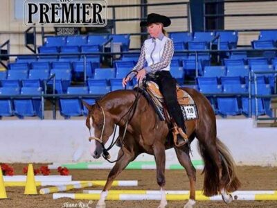 RL Best Of Sudden 3YO All-Around Prospect