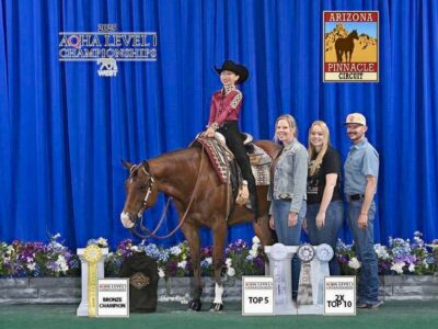 High End Double All-Around Gelding