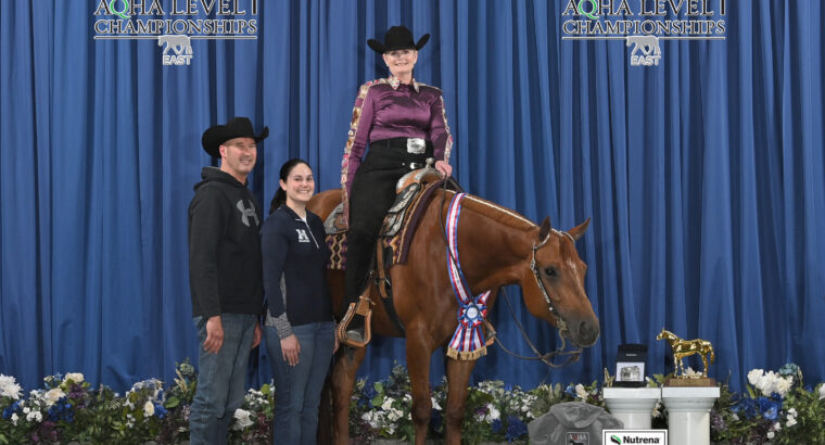 Superior Western Pleasure Mare