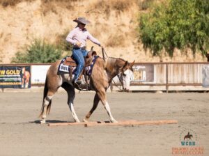 Superior Western Pleasure Mare