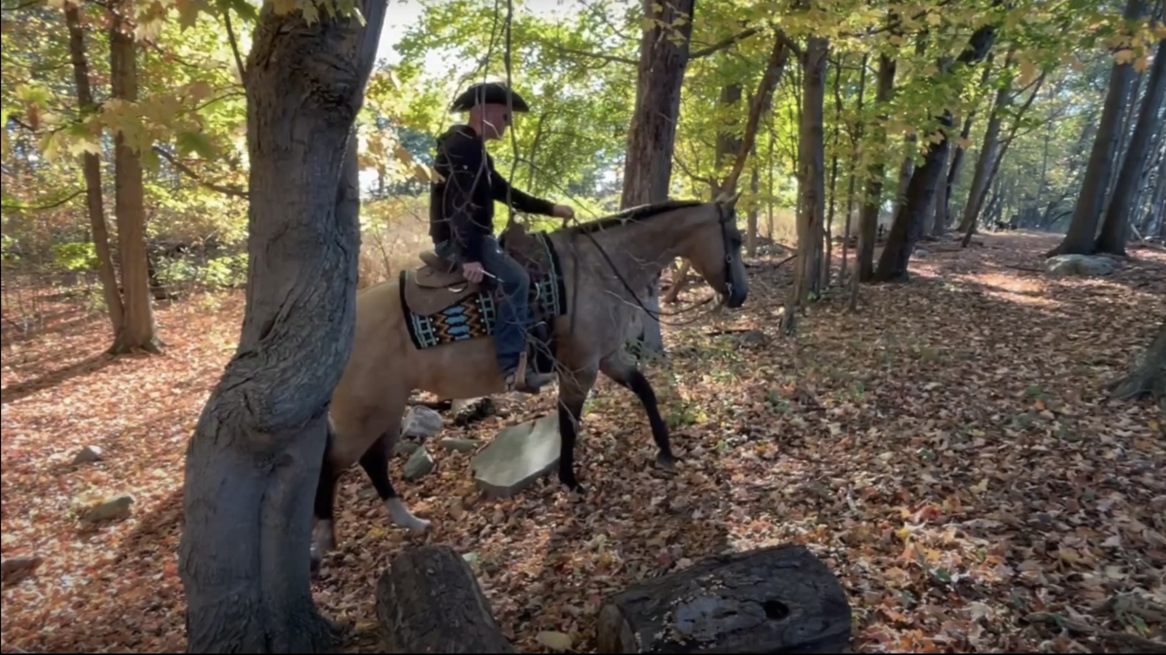 2015 AQHA Buckskin All Around Show Mare