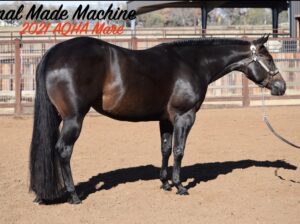 2021 AQHA Mare “Final Made Machine” Machine Made