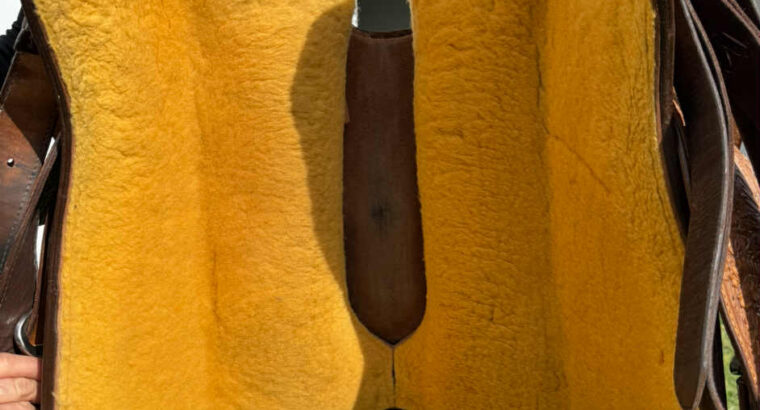 Nice 16″ Blue Ribbon Show Saddle