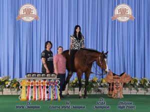 Proven Deluxe Hunt Seat All Arounder Mare