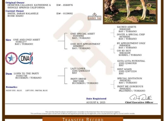 Pretty One And Only Asset Filly Prospect