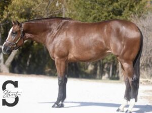 Stunning 3YO All-Around Prospect