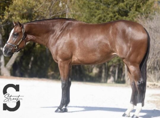 Stunning 3YO All-Around Prospect