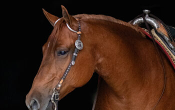 Western Pleasure – Made for the Game, aka “G”