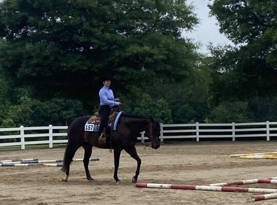 Your Next Show Partner