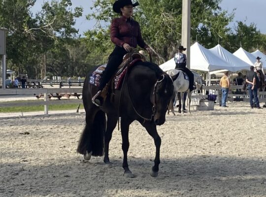 Your Next Show Partner