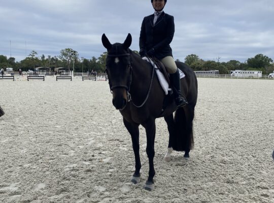 Your Next Show Partner