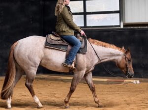 Pretty Roan Lopin Machine Mare