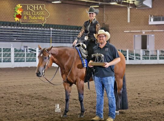 Heartstoppin Double Western Mare