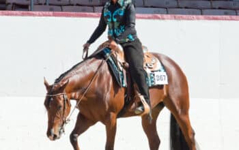 Have You Myst Me Yet – All Around Mare