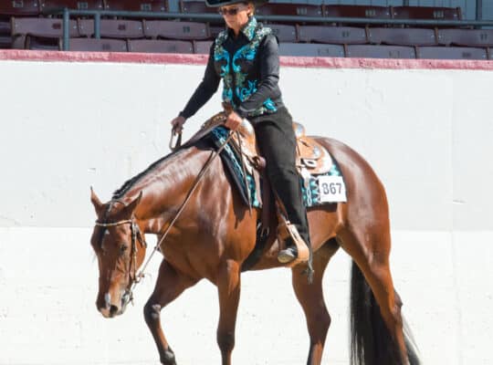 Have You Myst Me Yet – All Around Mare