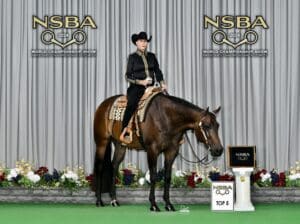 Exceptional All-Around Gelding