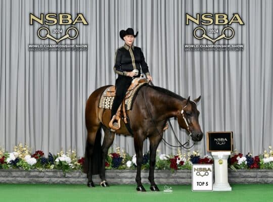 Exceptional All-Around Gelding