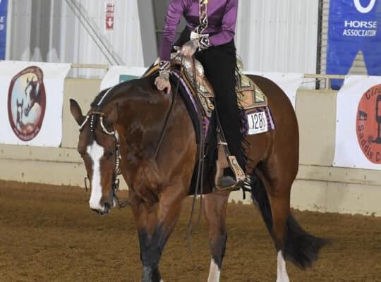 Proven Deluxe Hunt Seat All Arounder Mare