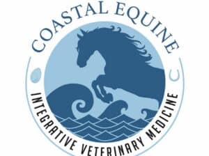 Equine Chiropractor in Bay Area – CA