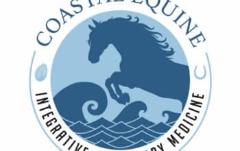 Equine Chiropractor in Bay Area – CA