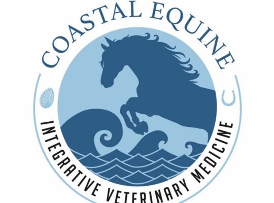 Equine Chiropractor in Bay Area – CA