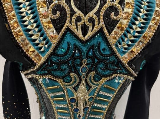 Stunning Paula’s Place 3-Piece Set