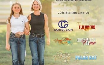 Breeding and Mare Care